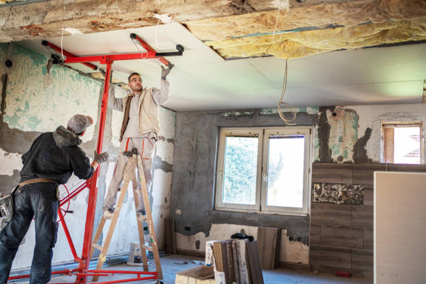 Best Cellulose Insulation  in Villas, NJ