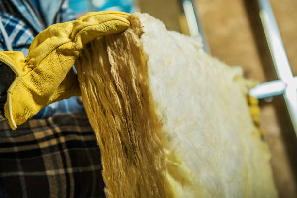 Best Wall Insulation Contractor  in Villas, NJ