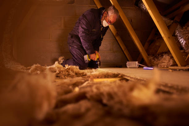 Best Insulation Repair Services  in Villas, NJ